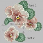 Pansies flw0123