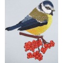 Tomtit brd0043