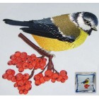 Tomtit brd0043