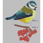 Tomtit brd0043