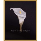 Calla Flower Machine Embroidery Designs size 95*128mm