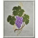 Bunch of grapes frt0008