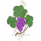 Bunch of grapes frt0008