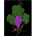 Bunch of grapes frt0008