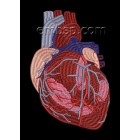 Satin Heart hrt0014