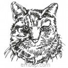 Cat cat0017