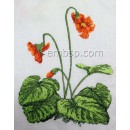 Flower flw0126