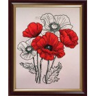 Poppies flw0128