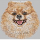 Spitz dog0021