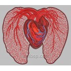 Heart hrt0015
