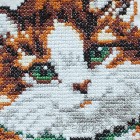 Machine embroidery design Cat crs0010