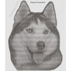 Machine embroidery design Husky dog0025