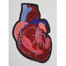 Machine embroidery design Satin Heart hrt0016