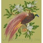 Bird of paradise_brd0007