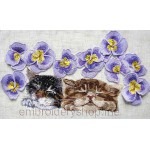 Kittens_cat0008