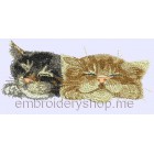 Kittens_cat0008