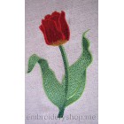 Tulip_flw0026