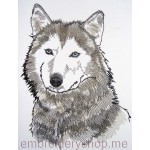Wolf_wlf0003