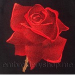 Роза_flw0024