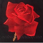 Роза_flw0024