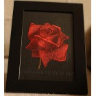 Rose_medium size_flw0022
