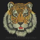 Tiger_tgr0017